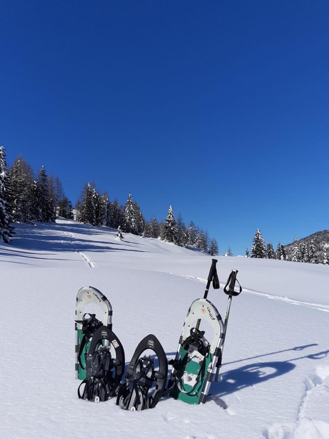Appartamenti Al Ciarie Cima Gogna Luaran gambar